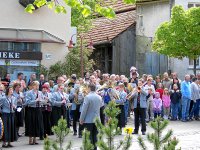 Maibaum 2008 011_qg